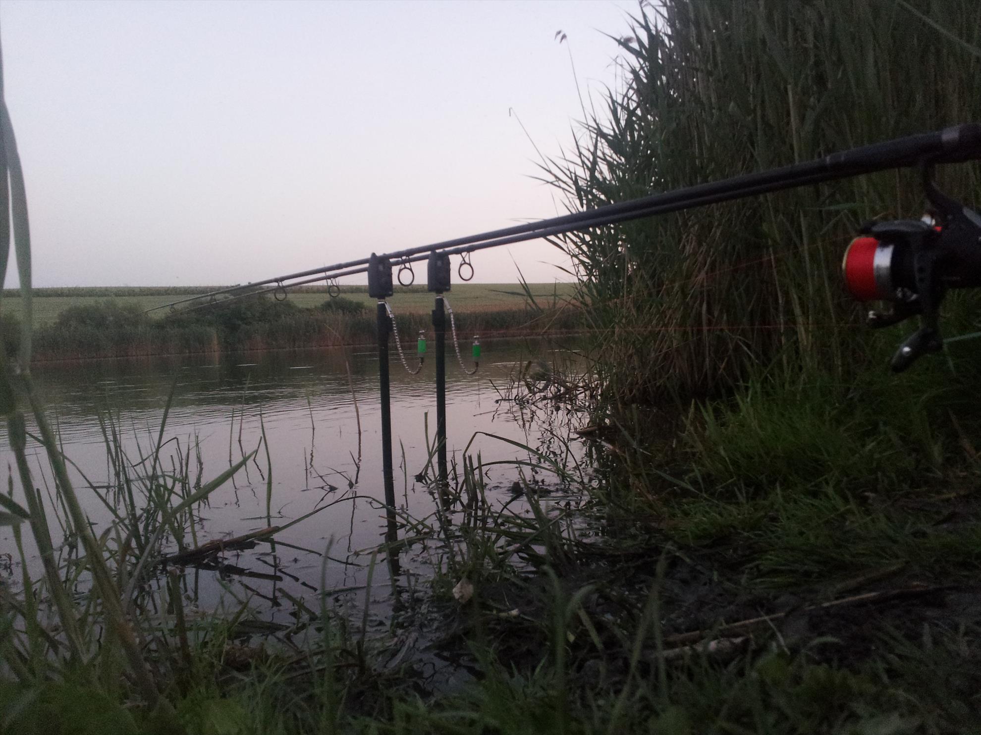 Walter Maracinenu - 20130518205125.jpg